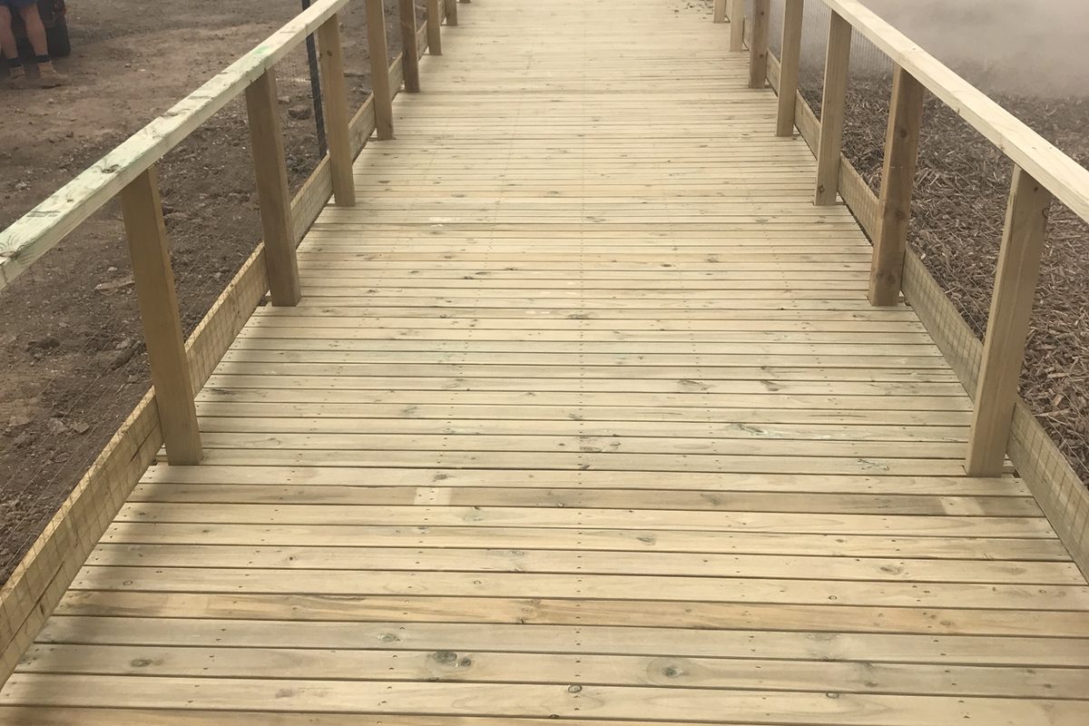 Timber boardwalk with handrails built over sandy ground