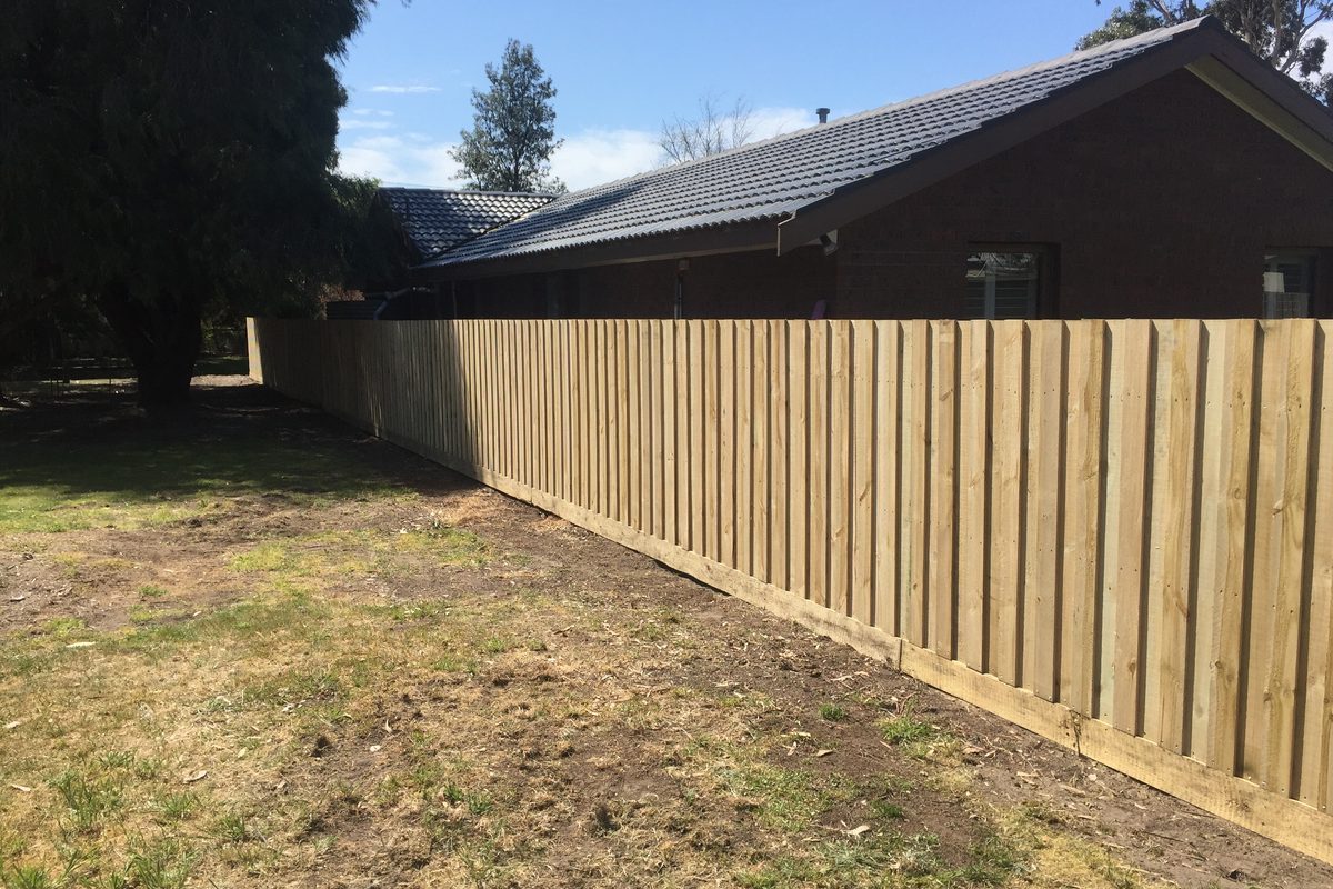 New treated pine paling fence running the length of a backyard, built by JFM