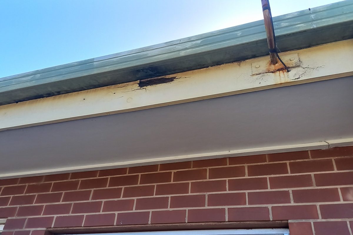 Rusted gutter bracket and rotted fascia behind an old gutter