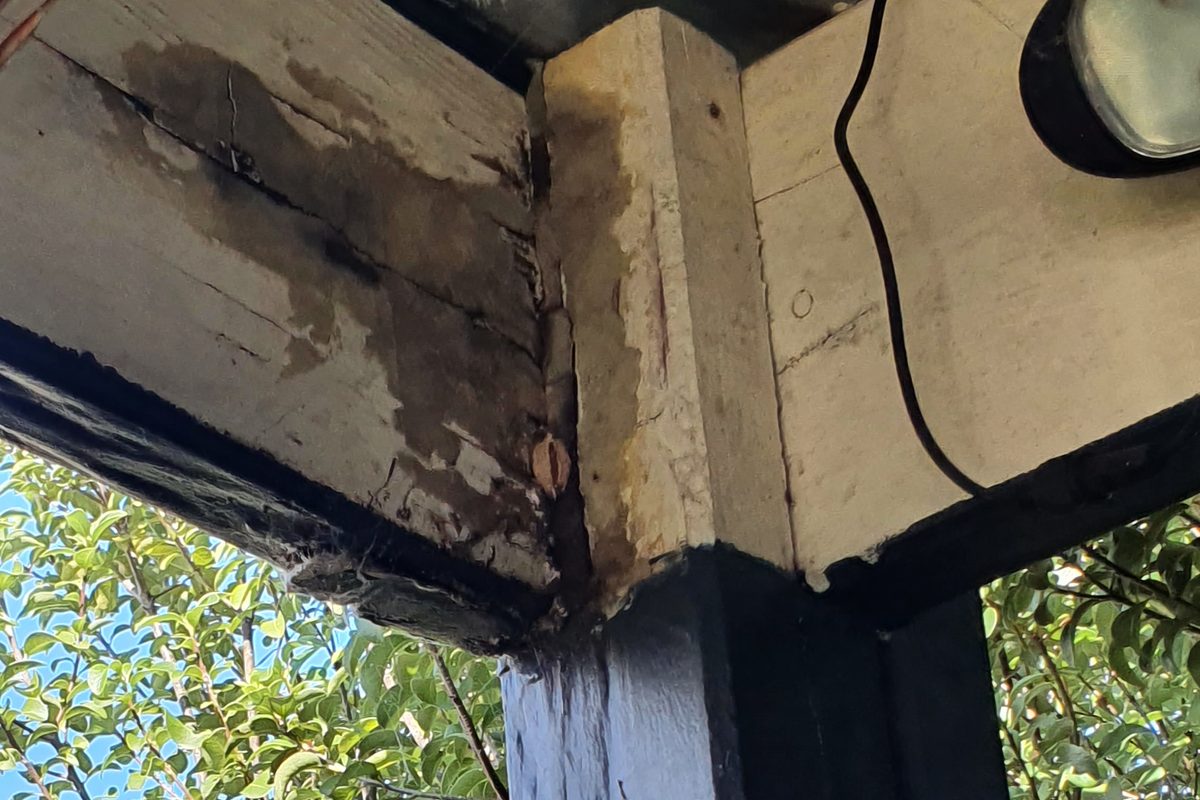 Rot and water staining where the beam meets the post on the same pergola, before the repair