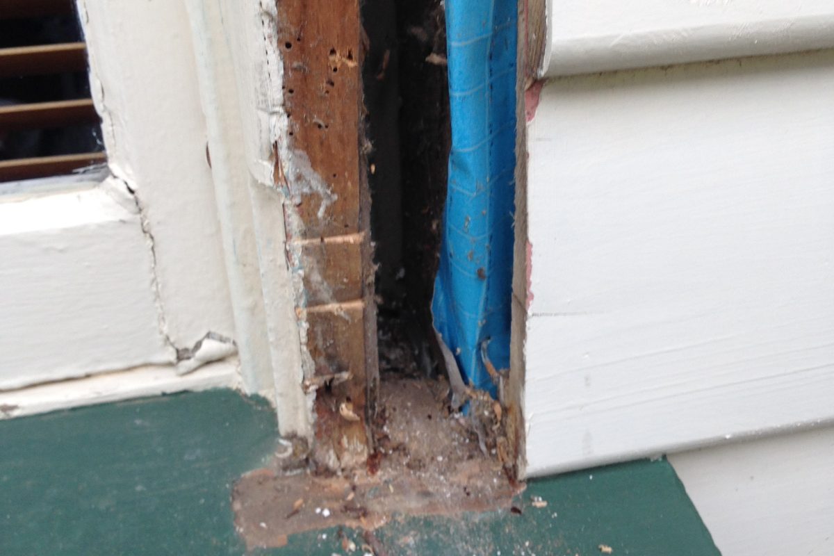 Rotted window jamb opened up beside a weatherboard wall, before repair